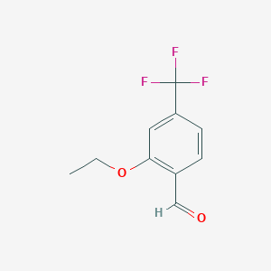 molecular formula C10H9F3O2 B3351121 2-Ethoxy-4-(trifluoromethyl)benzaldehyde CAS No. 334018-36-9