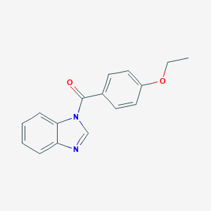 molecular formula C16H14N2O2 B335728 1-(4-ETHOXYBENZOYL)-1H-1,3-BENZODIAZOLE 