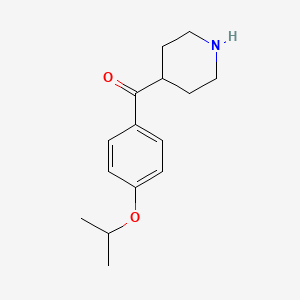 molecular formula C15H21NO2 B3364400 (4-Isopropoxyphenyl)(piperidin-4-yl)methanone CAS No. 1152521-45-3