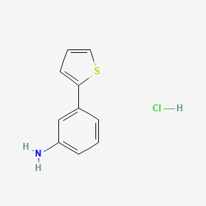 molecular formula C10H10ClNS B3365399 3-(Thiophen-2-yl)aniline hydrochloride CAS No. 1221722-03-7