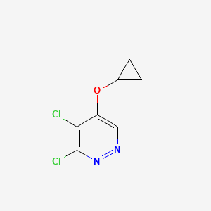 molecular formula C7H6Cl2N2O B3366262 3,4-Dichloro-5-cyclopropoxypyridazine CAS No. 1346698-10-9