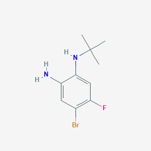 molecular formula C10H14BrFN2 B3366486 4-Bromo-N1-(tert-butyl)-5-fluorobenzene-1,2-diamine CAS No. 1375068-67-9