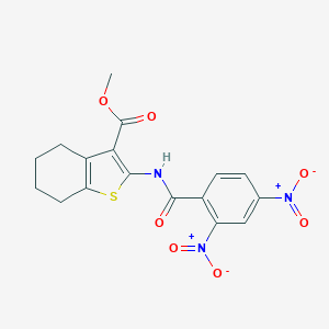 molecular formula C17H15N3O7S B336753 Methyl 2-[(2,4-dinitrobenzoyl)amino]-4,5,6,7-tetrahydro-1-benzothiophene-3-carboxylate 