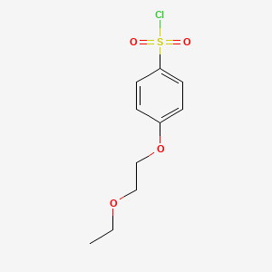 molecular formula C10H13ClO4S B3369920 4-(2-Ethoxyethoxy)benzene-1-sulfonyl chloride CAS No. 264624-20-6
