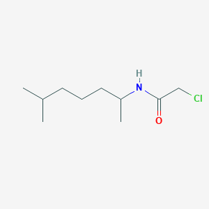 2-chloro-N-(6-methylheptan-2-yl)acetamide