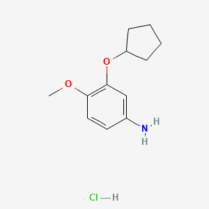 3-(Cyclopentyloxy)-4-methoxyaniline hydrochloride