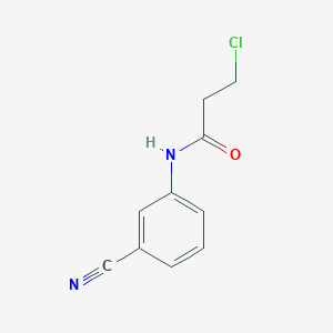 molecular formula C10H9ClN2O B3372392 3-chloro-N-(3-cyanophenyl)propanamide CAS No. 900711-12-8