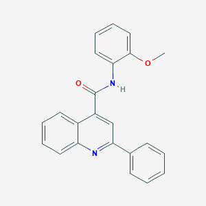 molecular formula C23H18N2O2 B337423 N-(2-methoxyphenyl)-2-phenylquinoline-4-carboxamide 