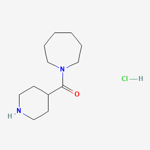 molecular formula C12H23ClN2O B3374931 1-(Piperidine-4-carbonyl)azepane hydrochloride CAS No. 1049723-07-0