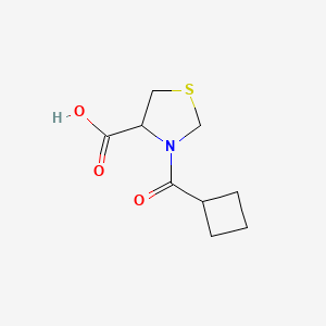 3-Cyclobutanecarbonyl-1,3-thiazolidine-4-carboxylic acid