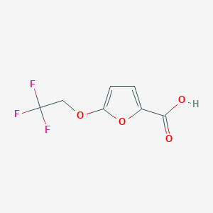 molecular formula C7H5F3O4 B3376986 5-(2,2,2-Trifluoroethoxy)furan-2-carboxylic acid CAS No. 1250292-88-6