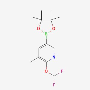 molecular formula C13H18BF2NO3 B3378635 2-(difluoroMethoxy)-3-Methyl-5-(4,4,5,5-tetraMethyl-1,3,2-dioxaborolan-2-yl)pyridine CAS No. 1445651-59-1