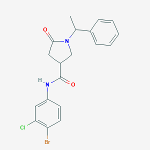 molecular formula C19H18BrClN2O2 B337937 N-(4-bromo-3-chlorophenyl)-5-oxo-1-(1-phenylethyl)pyrrolidine-3-carboxamide 