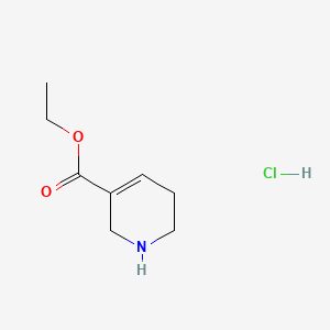 molecular formula C8H14ClNO2 B3380208 Ethyl 1,2,5,6-tetrahydro-3-pyridinecarboxylate hydrochloride CAS No. 18513-77-4
