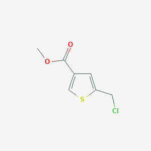 molecular formula C7H7ClO2S B3382657 Methyl 5-(chloromethyl)thiophene-3-carboxylate CAS No. 34767-77-6