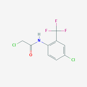 molecular formula C9H6Cl2F3NO B3382927 2-chloro-N-[4-chloro-2-(trifluoromethyl)phenyl]acetamide CAS No. 379255-37-5