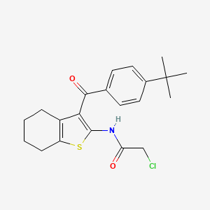 molecular formula C21H24ClNO2S B3387162 N-[3-(4-tert-butylbenzoyl)-4,5,6,7-tetrahydro-1-benzothiophen-2-yl]-2-chloroacetamide CAS No. 792954-19-9