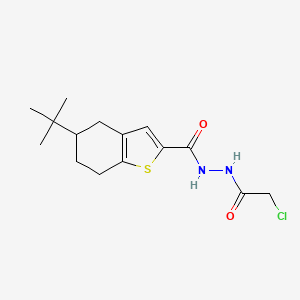 5-tert-butyl-N'-(2-chloroacetyl)-4,5,6,7-tetrahydro-1-benzothiophene-2-carbohydrazide