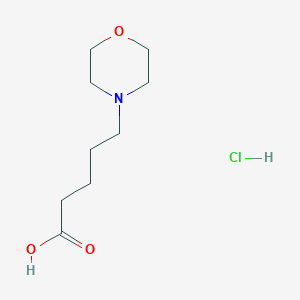 5-(Morpholin-4-yl)pentanoic acid hydrochloride