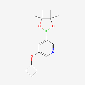 molecular formula C15H22BNO3 B3390892 Pyridine, 3-(cyclobutyloxy)-5-(4,4,5,5-tetramethyl-1,3,2-dioxaborolan-2-yl)- CAS No. 1257553-86-8