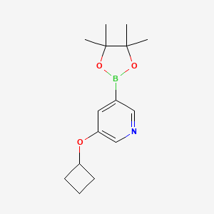3-Cyclobutoxy-5-(4,4,5,5-tetramethyl-[1,3,2]dioxaborolan-2-yl)-pyridine