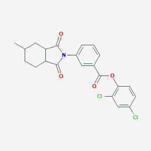 molecular formula C22H19Cl2NO4 B339949 2,4-dichlorophenyl 3-(5-methyl-1,3-dioxooctahydro-2H-isoindol-2-yl)benzoate 
