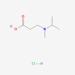 molecular formula C7H16ClNO2 B3417822 3-[Isopropyl(methyl)amino]propanoic acid hydrochloride CAS No. 1158376-51-2