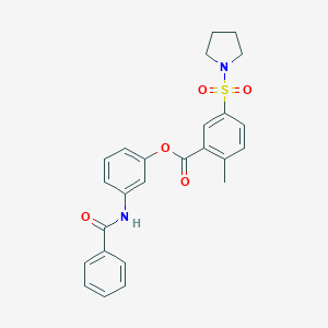 molecular formula C25H24N2O5S B341819 3-BENZAMIDOPHENYL 2-METHYL-5-(PYRROLIDINE-1-SULFONYL)BENZOATE 