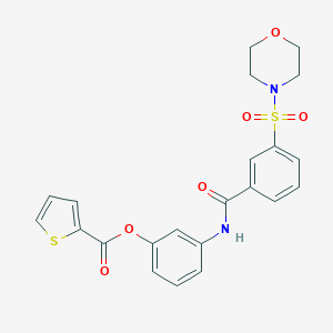 molecular formula C22H20N2O6S2 B341834 3-[3-(MORPHOLINE-4-SULFONYL)BENZAMIDO]PHENYL THIOPHENE-2-CARBOXYLATE 