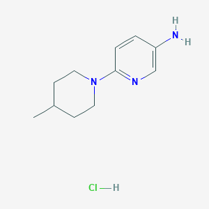 molecular formula C11H18ClN3 B3419415 6-(4-Methylpiperidin-1-yl)pyridin-3-amine hydrochloride CAS No. 1431964-35-0
