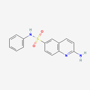 2-amino-N-phenylquinoline-6-sulfonamide