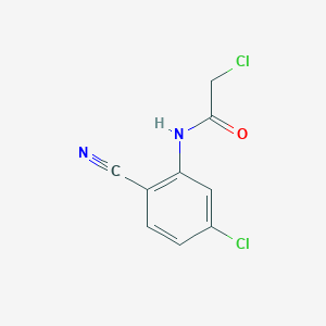 molecular formula C9H6Cl2N2O B3420443 2-chloro-N-(5-chloro-2-cyanophenyl)acetamide CAS No. 189083-68-9