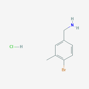 molecular formula C8H11BrClN B3420582 (4-溴-3-甲基苯基)甲胺盐酸盐 CAS No. 1955514-32-5