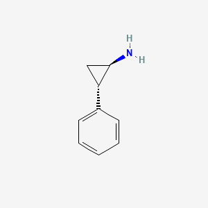 molecular formula C9H11N B3424851 Tranylcypromine CAS No. 3721-26-4