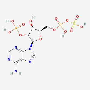 molecular formula C10H15N5O13P2S B3427841 2'-Phospho-5'-adenylyl sulfate CAS No. 62230-89-1