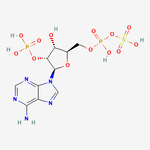 2'-Phospho-5'-adenylyl sulfate