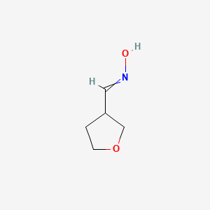 molecular formula C5H9NO2 B3430074 N-(oxolan-3-ylmethylidene)hydroxylamine CAS No. 79710-87-5