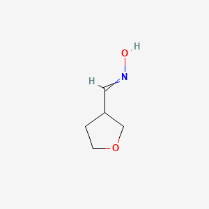 B3430074 N-[(oxolan-3-yl)methylidene]hydroxylamine CAS No. 79710-87-5