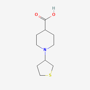 1-(Thiolan-3-yl)piperidine-4-carboxylic acid
