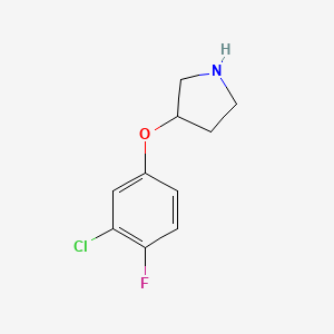 molecular formula C10H11ClFNO B3434488 3-(3-氯-4-氟苯氧基)吡咯烷 CAS No. 946726-78-9