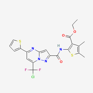 molecular formula C21H17ClF2N4O3S2 B3439681 ETHYL 2-[7-(CHLORODIFLUOROMETHYL)-5-(THIOPHEN-2-YL)PYRAZOLO[1,5-A]PYRIMIDINE-2-AMIDO]-4,5-DIMETHYLTHIOPHENE-3-CARBOXYLATE 