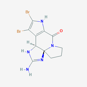 B034506 Dibromoisophakellin CAS No. 104758-96-5