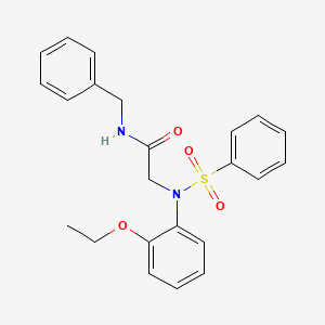 molecular formula C23H24N2O4S B3460583 N~1~-benzyl-N~2~-(2-ethoxyphenyl)-N~2~-(phenylsulfonyl)glycinamide 