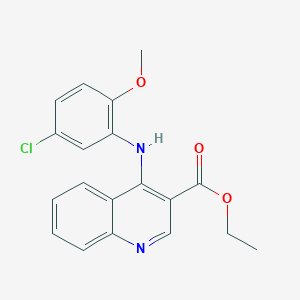 molecular formula C19H17ClN2O3 B3476953 Ethyl 4-(5-chloro-2-methoxyanilino)quinoline-3-carboxylate 
