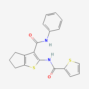 molecular formula C19H16N2O2S2 B3479291 N-[3-(PHENYLCARBAMOYL)-4H,5H,6H-CYCLOPENTA[B]THIOPHEN-2-YL]THIOPHENE-2-CARBOXAMIDE 