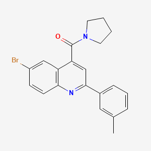 molecular formula C21H19BrN2O B3482909 6-BROMO-2-(3-METHYLPHENYL)-4-(PYRROLIDINE-1-CARBONYL)QUINOLINE 