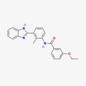 molecular formula C23H21N3O2 B3483274 N-[3-(1H-1,3-Benzodiazol-2-YL)-2-methylphenyl]-3-ethoxybenzamide 