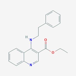 molecular formula C20H20N2O2 B349292 Ethyl 4-[(2-phenylethyl)amino]quinoline-3-carboxylate CAS No. 307535-82-6