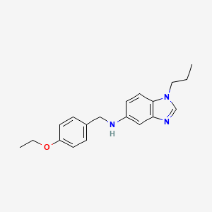 molecular formula C19H23N3O B3496412 N-[(4-Ethoxyphenyl)methyl]-1-propyl-1H-1,3-benzodiazol-5-amine 
