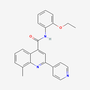 molecular formula C24H21N3O2 B3500324 N-(2-ethoxyphenyl)-8-methyl-2-pyridin-4-ylquinoline-4-carboxamide 